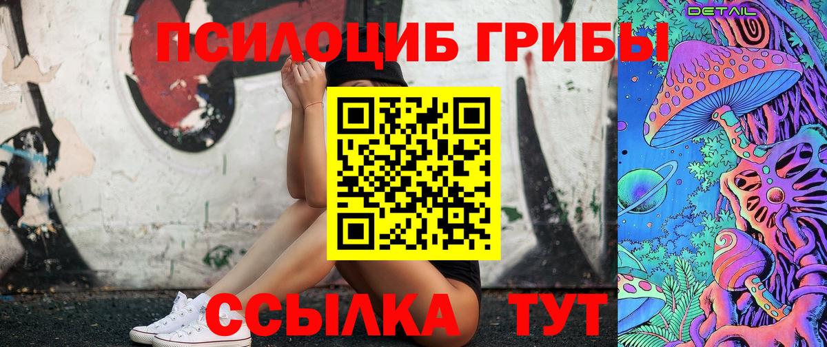 Ивантеевка  Псилоцибиновые грибы мицелий  купить наркотик  Псилоцибиновые грибы Cubensis  Вход с VPN 
