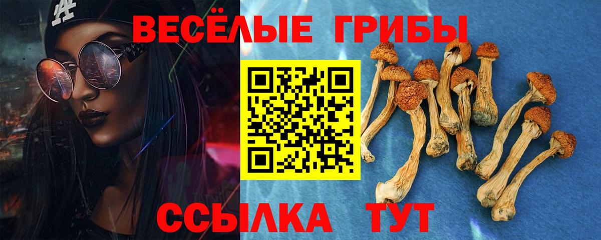 Галлюциногенные грибы мухоморы Ивантеевка